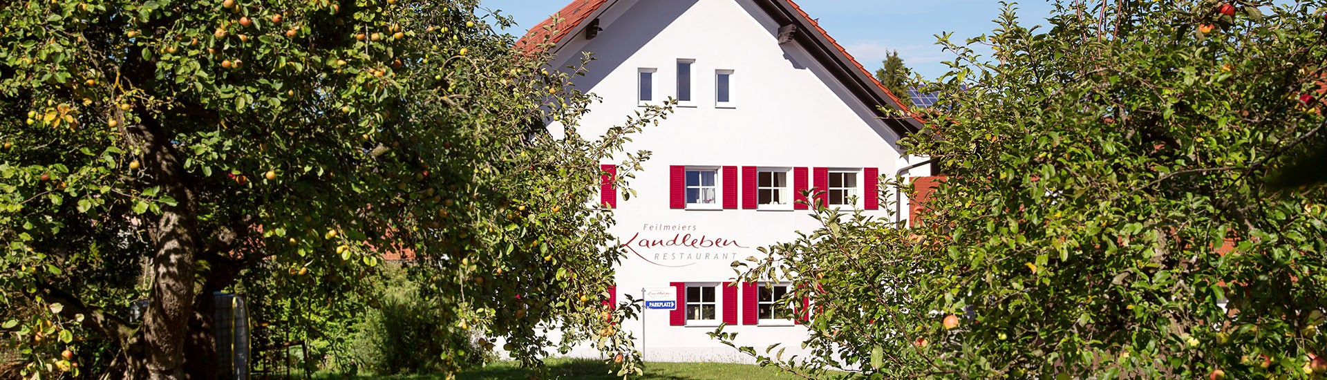 Neues aus dem <strong>Netz</strong>